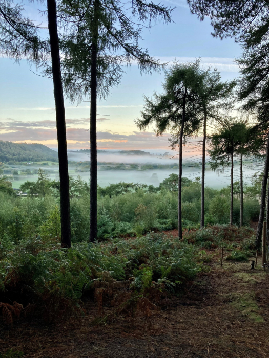 Sandstone Ridge Trust - - Early Autumn on the Cheshire Sandstone Ridge