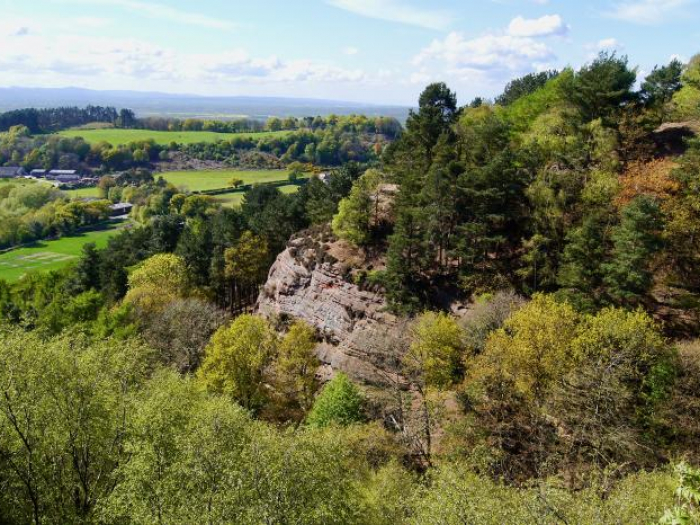 Sandstone Ridge Trust | Cheshire Sandstone Ridge Survey