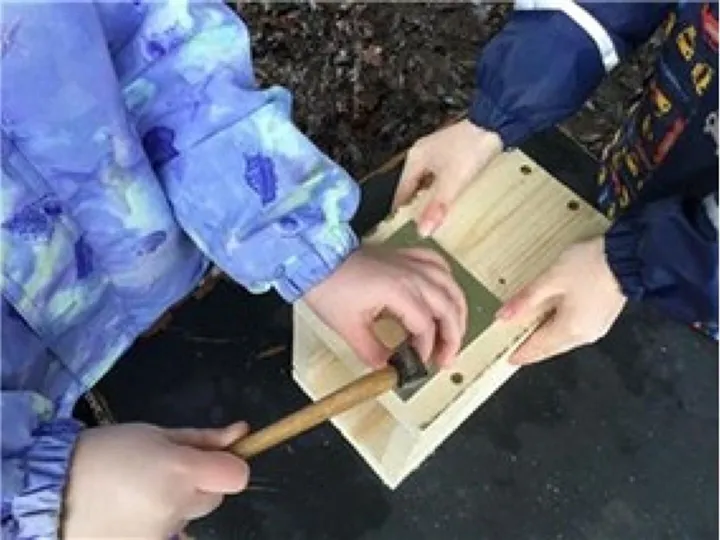 Bird Box
