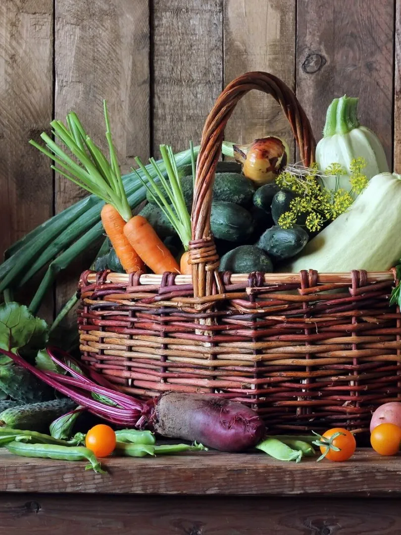 Fresh vegetables in basket. The harvest, food. 