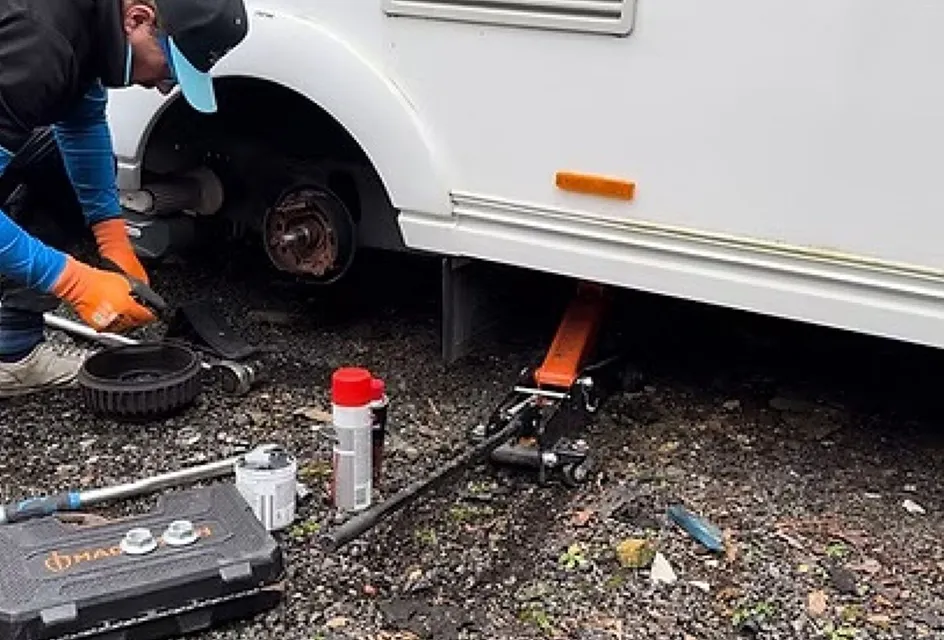 Hab Check 6 Repair