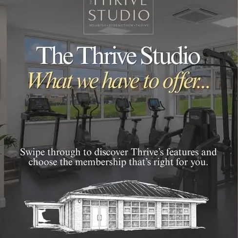 Thrive Studio 01