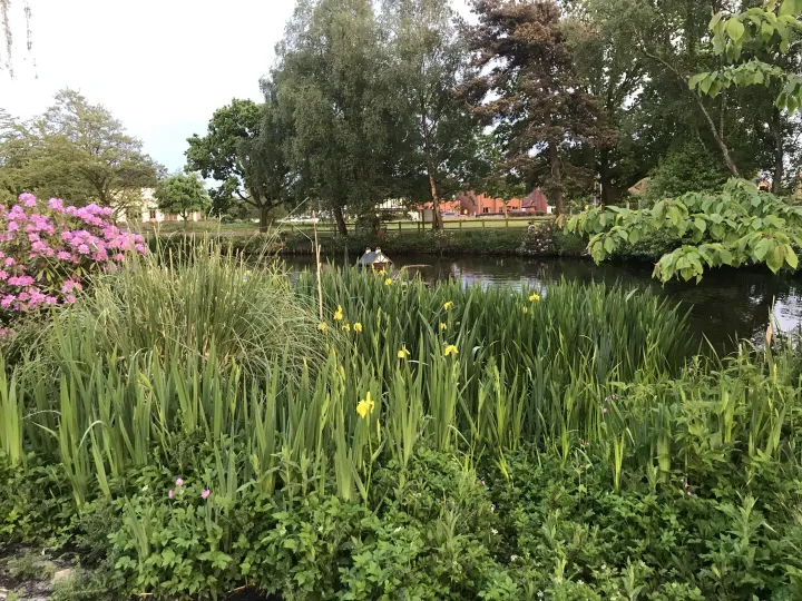 Hankelow Pond