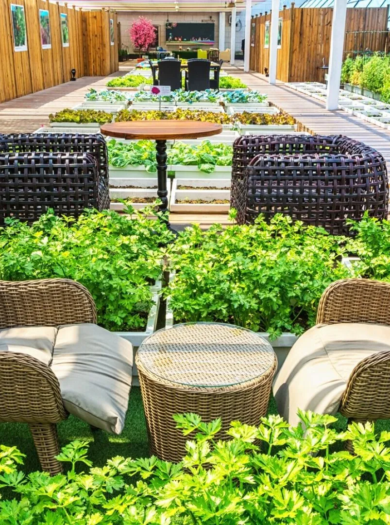 A covered lifestyle garden with indoor and outdoor living
