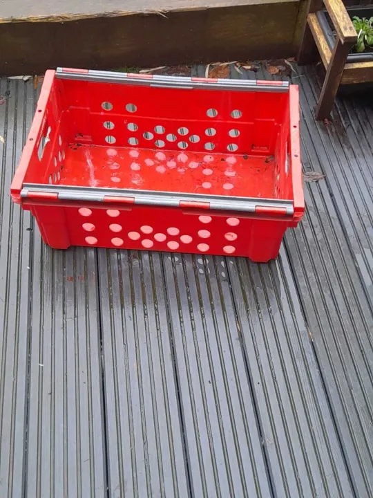 New image