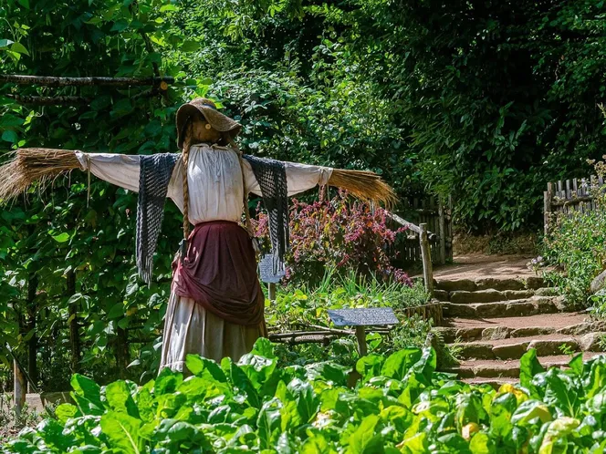 A straw scarecrow in a hat watching over a vegetable garden
