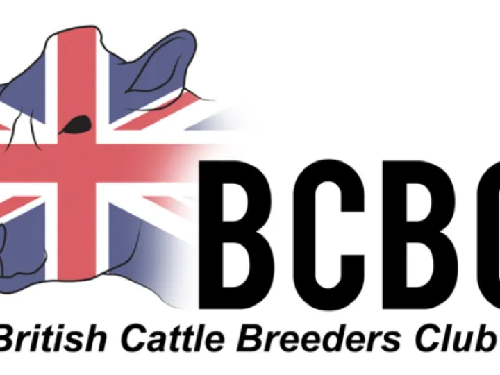 The new BCBC logo competition winner – Annie Stones