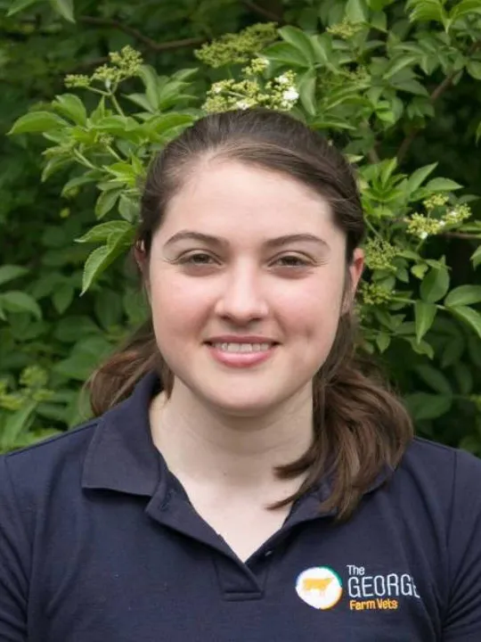 Dr Kat Hart, Committee Member of the British Cattle Breeders Club