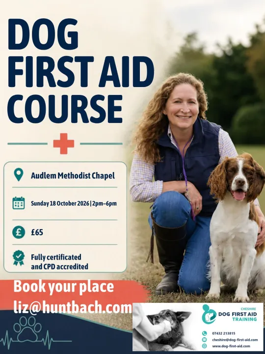 Dog First Aid
