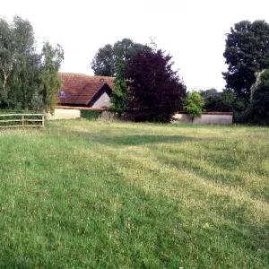 Community Orchard 01