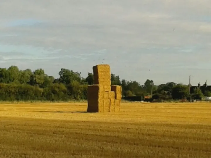 Chair-ch Minshull