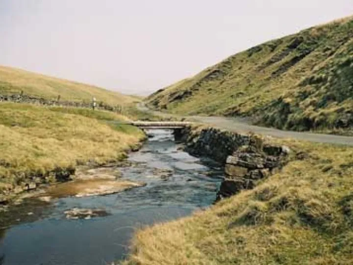 Tyne Walk Image