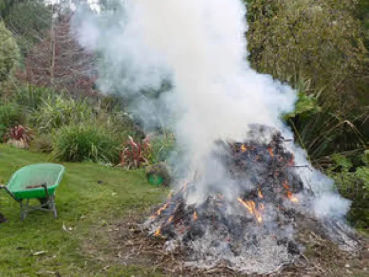 bonfire