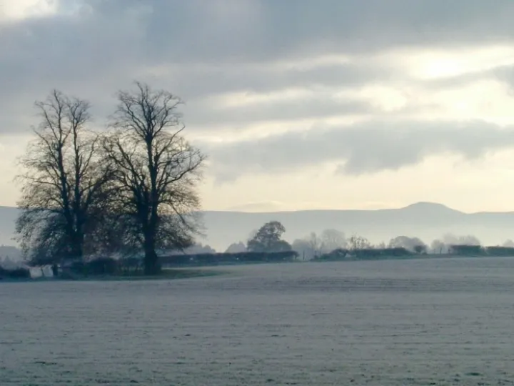 DJW Frost Nov 2005