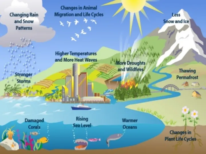 Global-Climate-Change 03