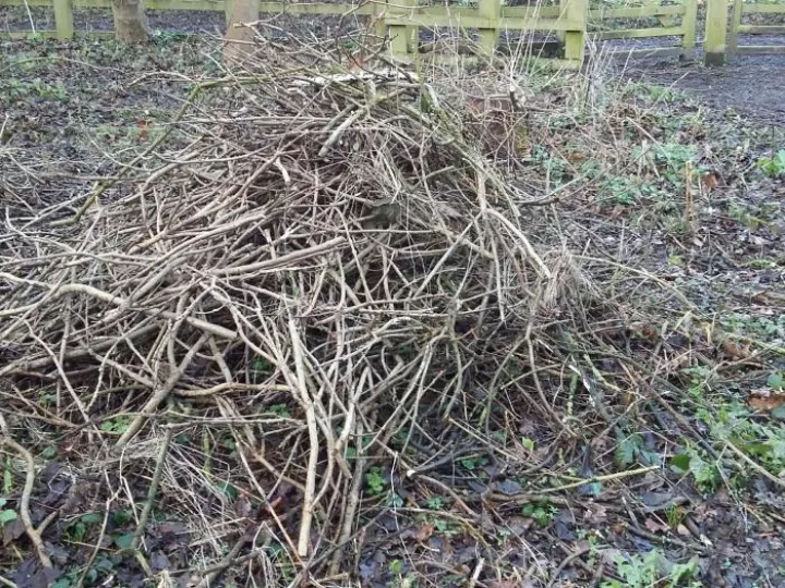 Habitat Piles (1)