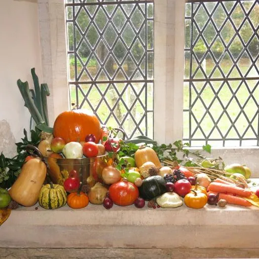 Harvest Display 01
