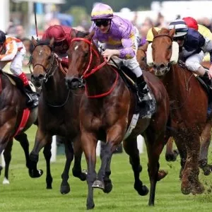 ascot 03