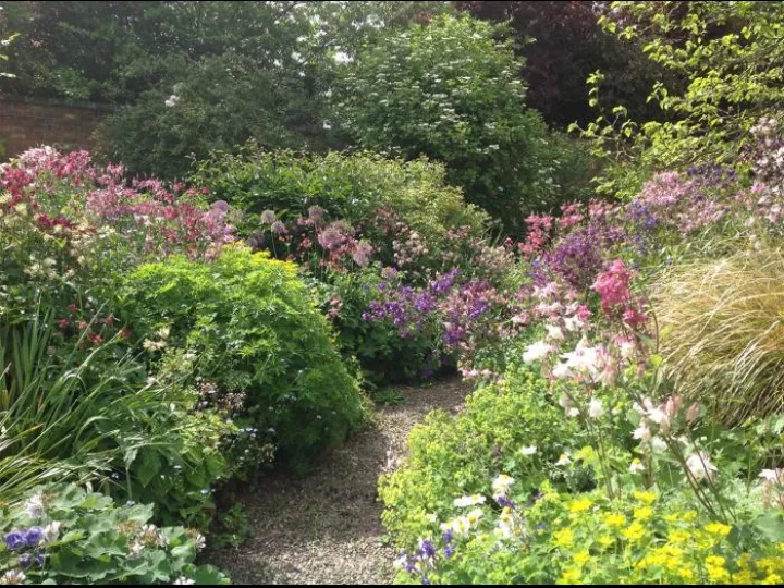 Bee haven