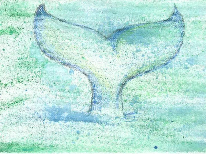 Whale_drawing