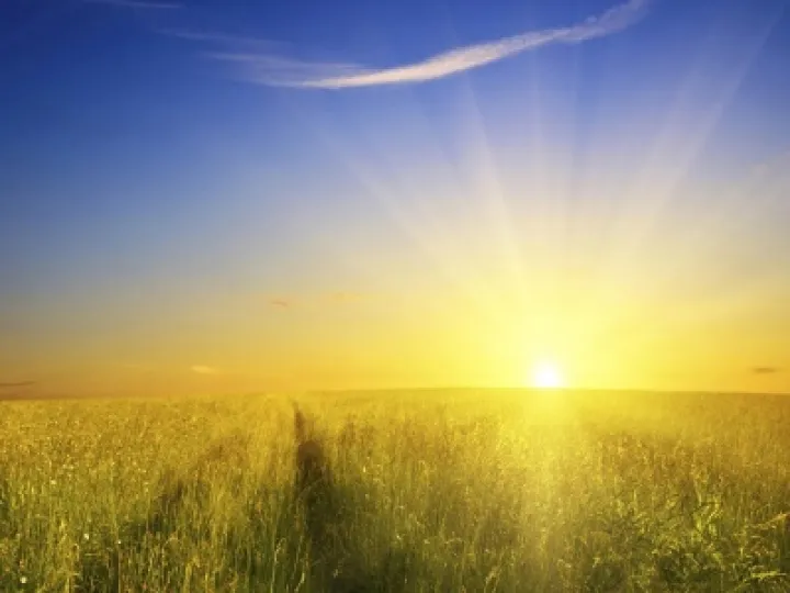 sunshine 02