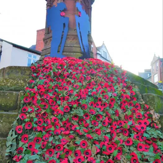 memorial poppies 2