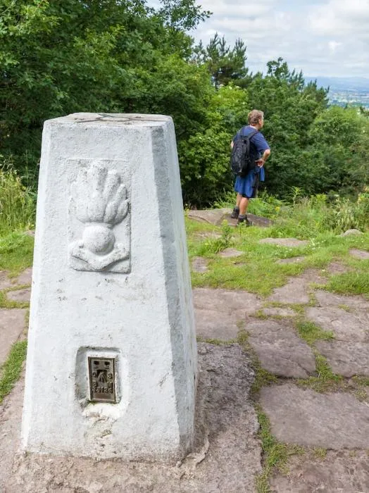 Trig Point crop