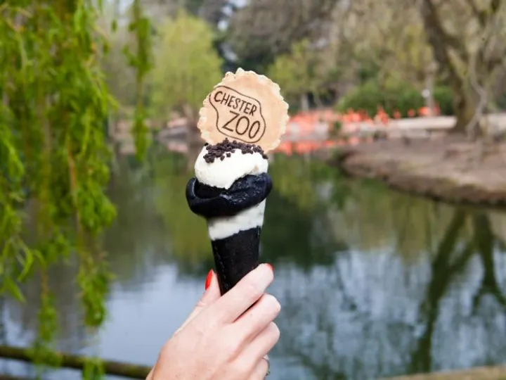 Ice Cream lemur