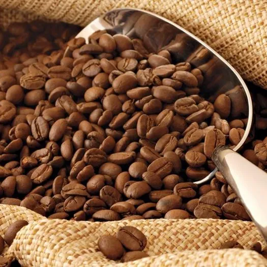 coffee-beans-v2__FitWzEyMDAsMTAwMF0