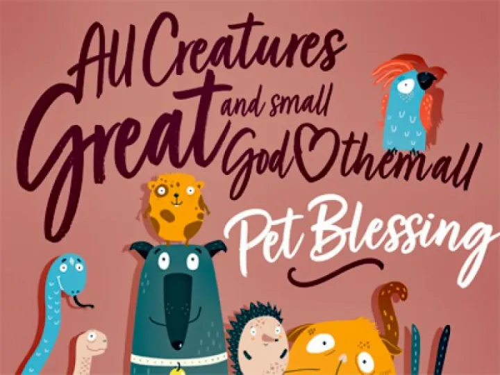 Pets