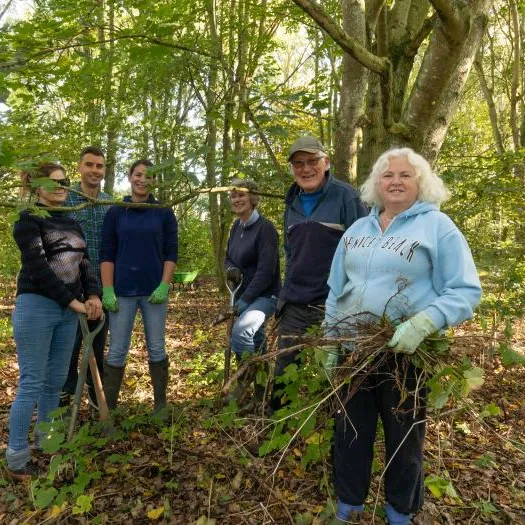 Snakemoor Work Party: Oct 2019