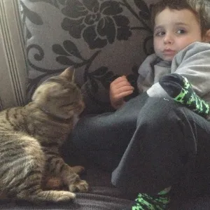Rex the Cat 1