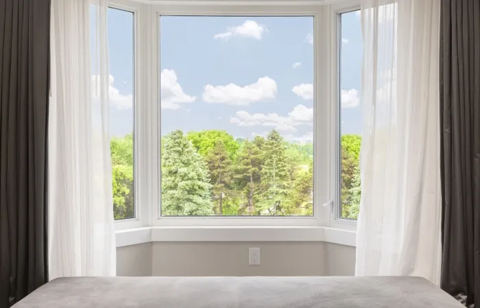 Window with forest view