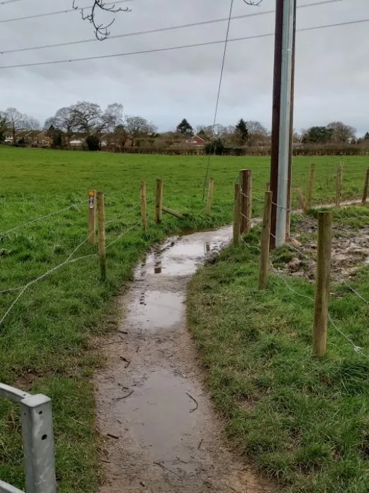 HenWhirFootpath-3