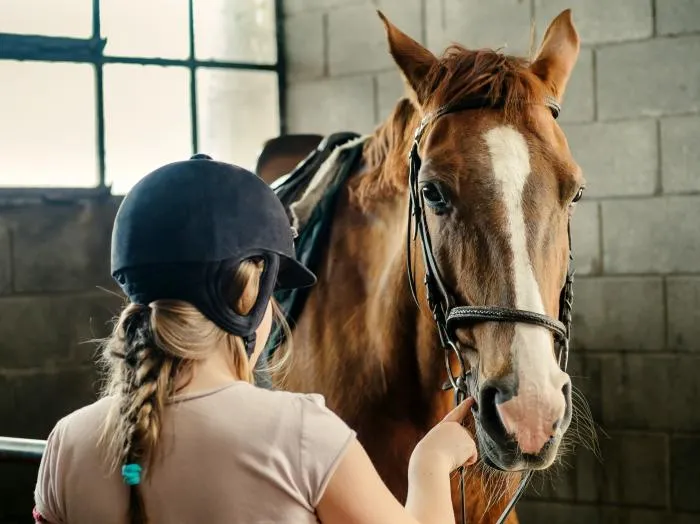 Rider in horse stables