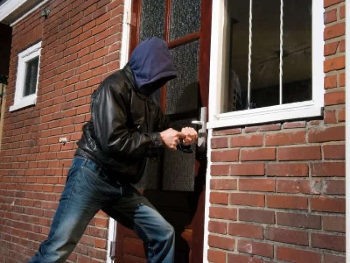 Burglar breaks into house