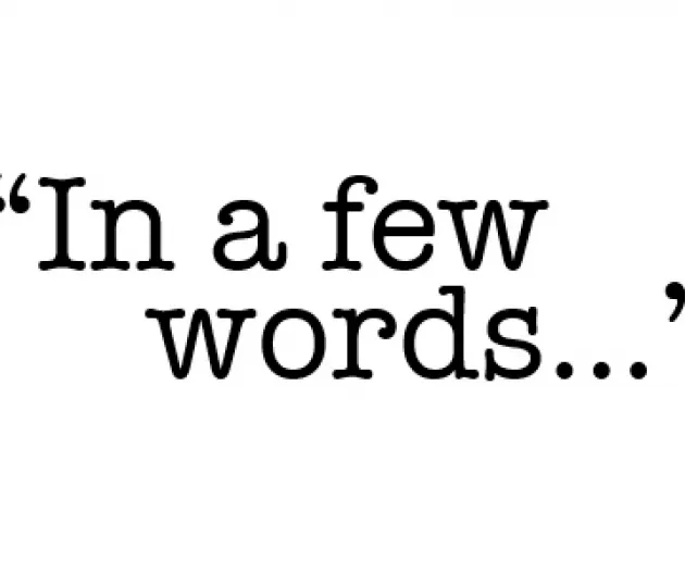 in a few words logo