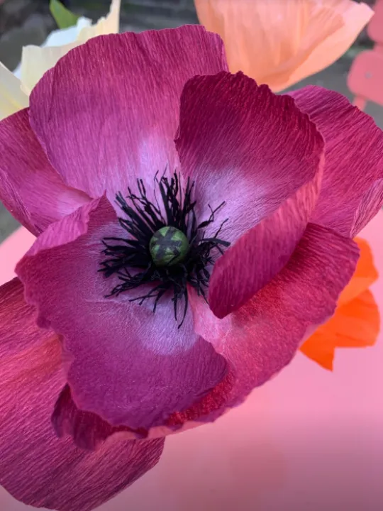 Ditzy Rose 1