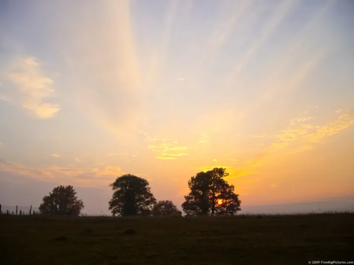 sunset-trees