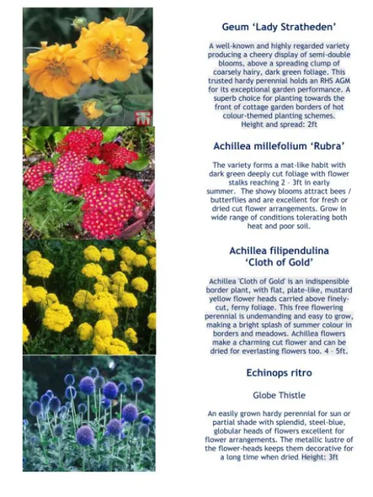 Plant Details 2020 Part 2 05-20_200511_page_001