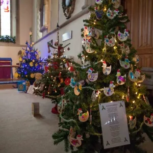 Haddenham Xmas Tree Festival 01