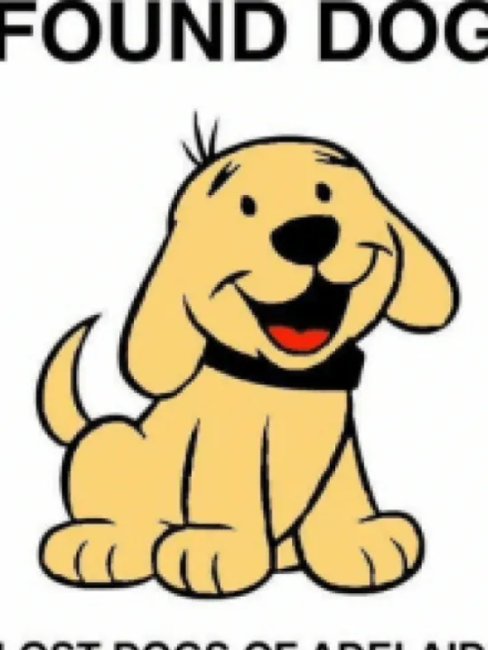 dogfoundsmall1