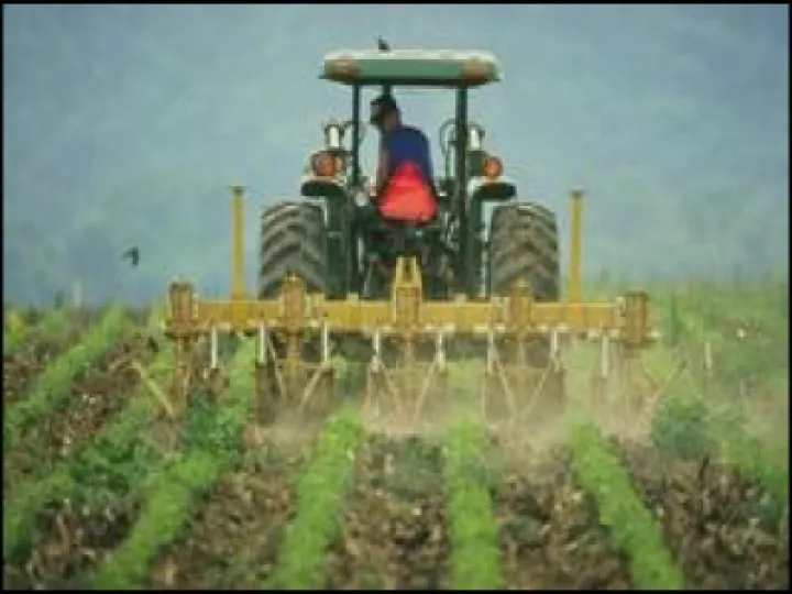 Pesticides 01