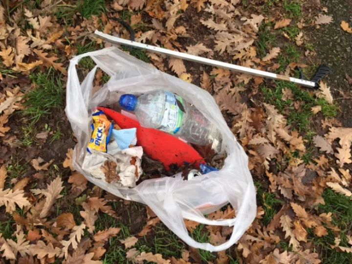 litter