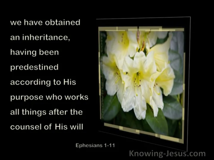 Ephesians 1-11