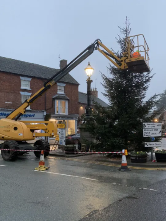 BIG TREE DRESSING