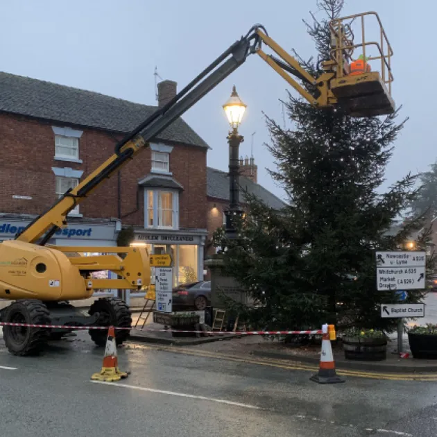 BIG TREE DRESSING