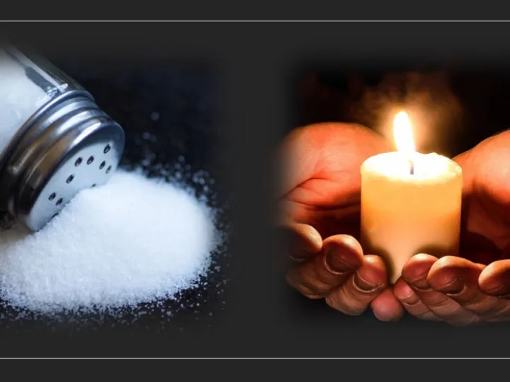 Salt & light