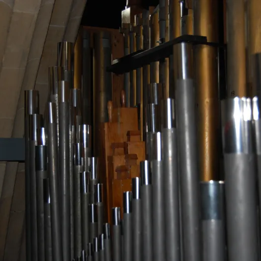 Organ2