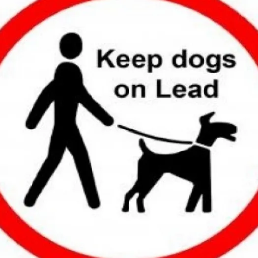 Keep dogs on leads